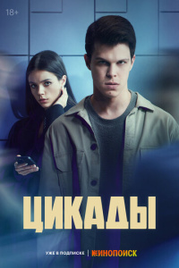 Цикады 1 сезон скачать торрент