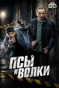 Псы и волки 1 сезон скачать торрент